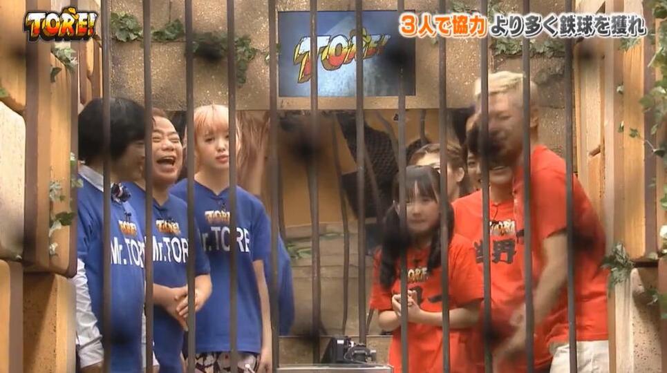 日本综艺有哪些类型的？最受观众欢迎的节目形式一览无余