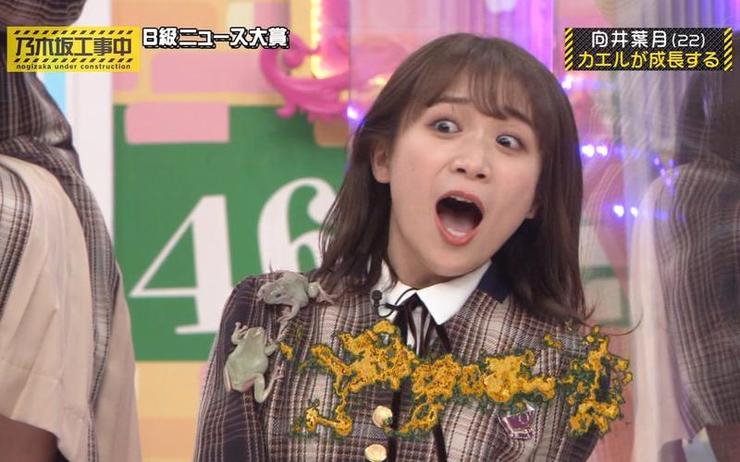乃木坂工事中 日本恶作剧节目叫什么来着?观众们惊喜不断的看点