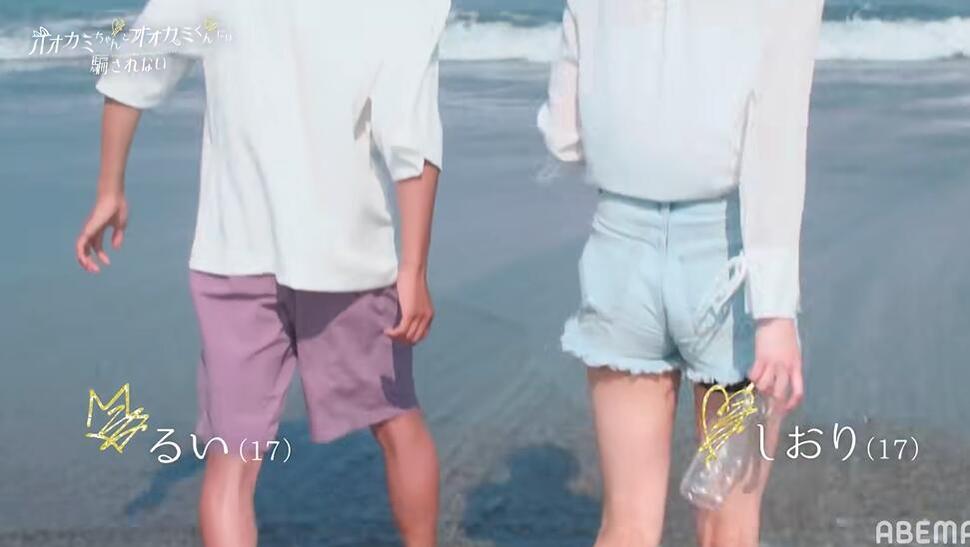 《别被太阳与狼君所欺骗》百科：勇敢女孩寻找真爱，狼君们出谋划策