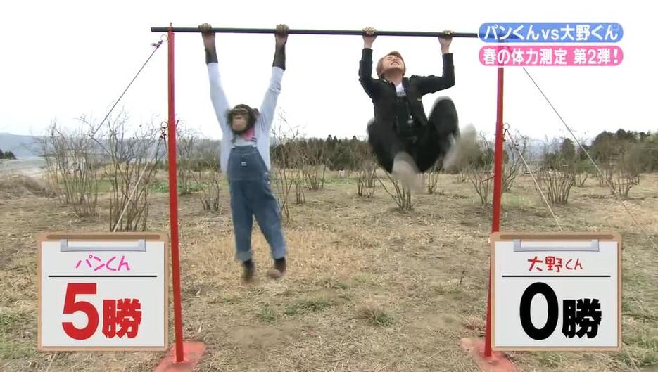 志村动物园 日本谈恋爱的综艺叫什么?——探寻日式恋爱文化