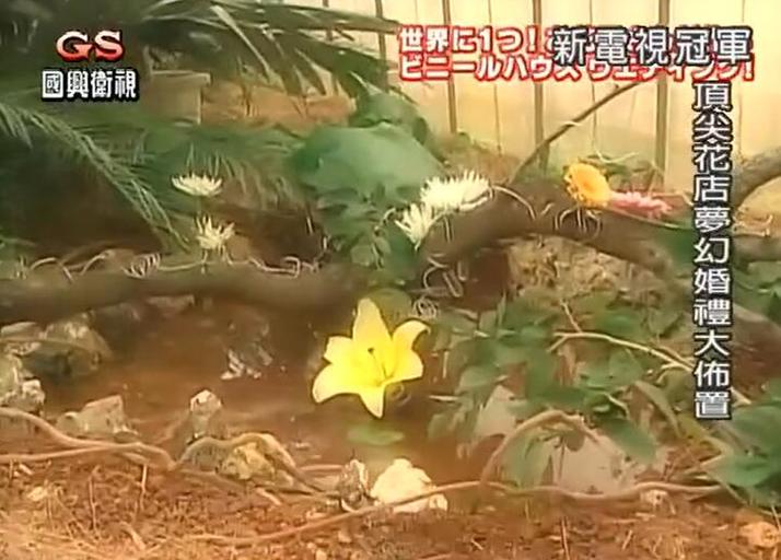 电视冠军 专注才艺,展现自我,《电视冠军王》超辣王艺术特辑