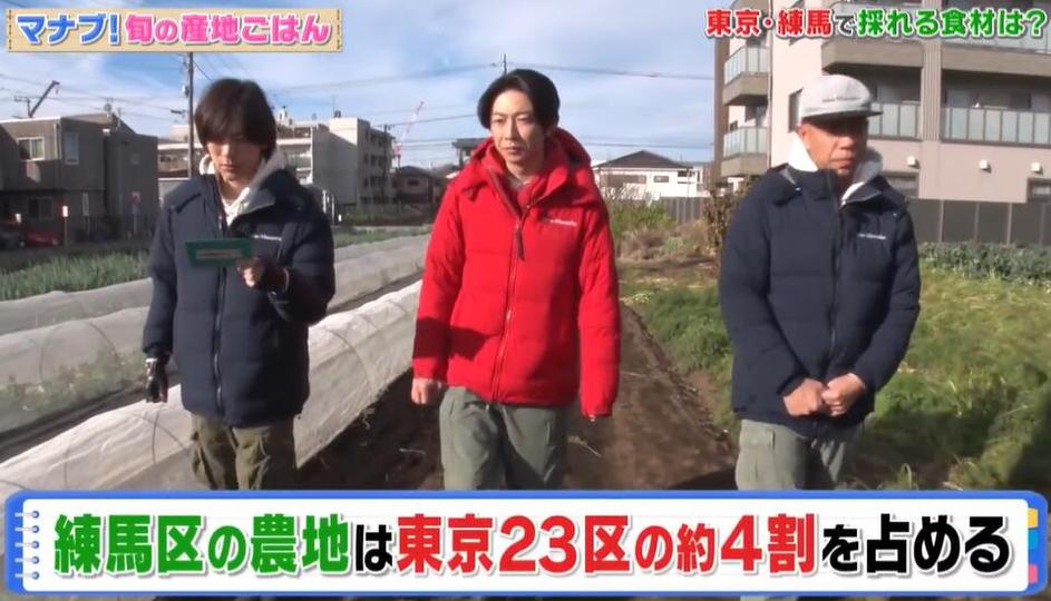 科学又实用！《相叶学》告诉你这些常识你一定不会