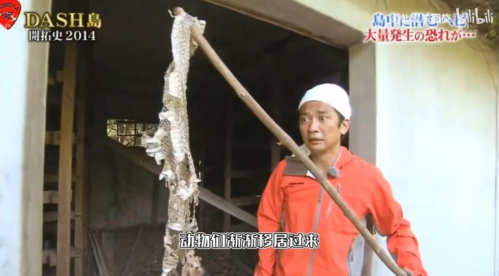 《铁腕DASH》在线观看免费，体验极限挑战精神之旅